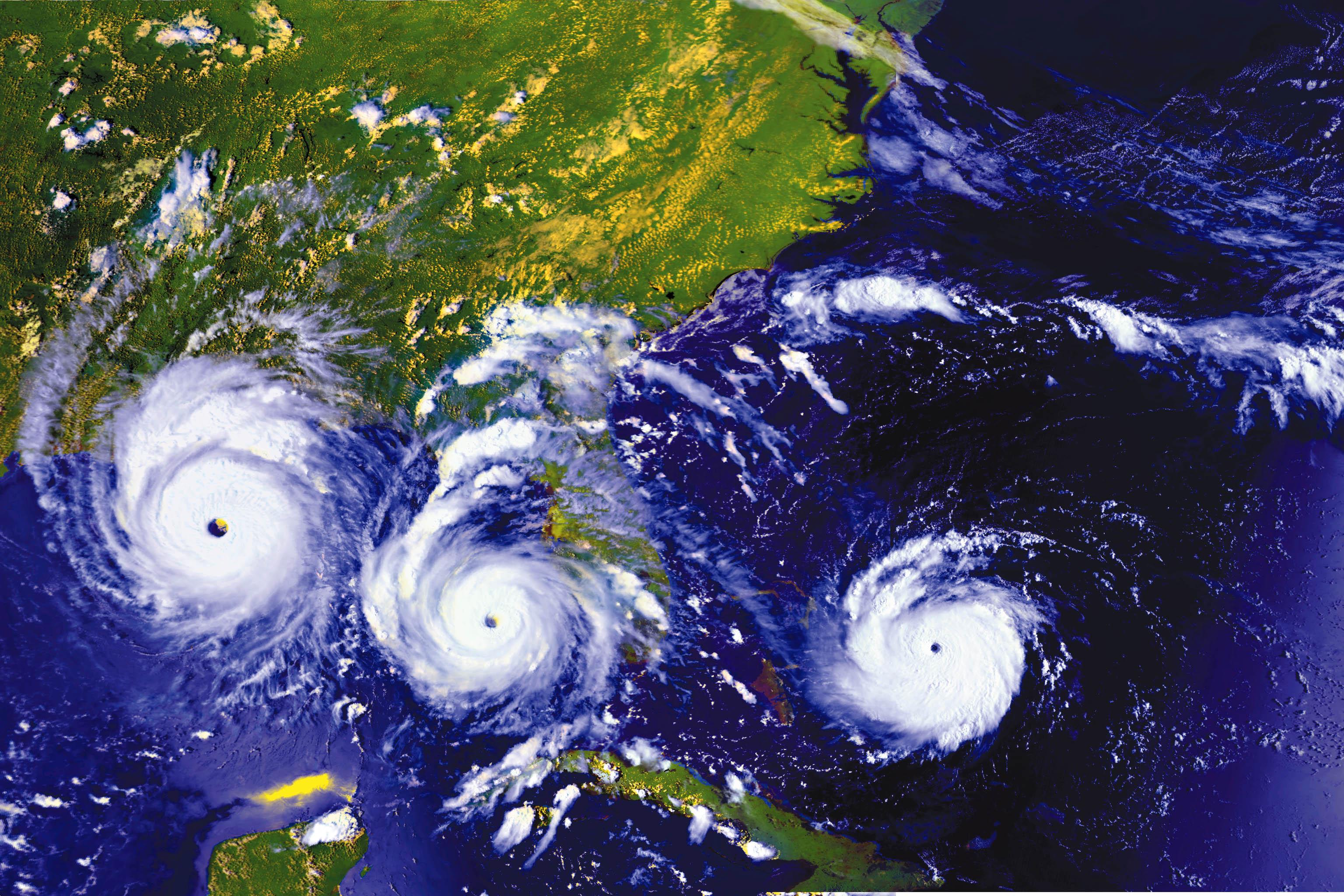 Weathering the Storm: Ring Power & The Cat Rental Store Are Your Source for Disaster Preparedness and Recovery Equipment