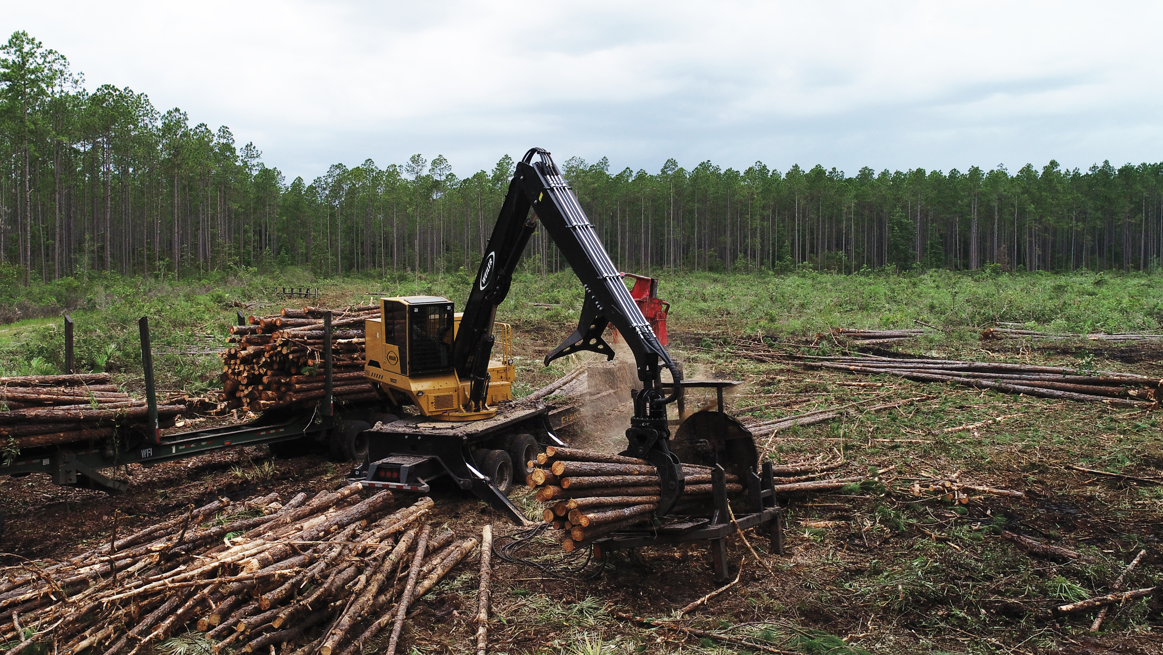 Ring Power will distribute and provide parts and service support for Weiler's full line of purpose-built forestry products.